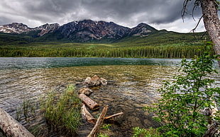 body of water in front of mountain at daytime HD wallpaper